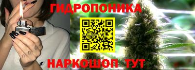 a pvp Абакан