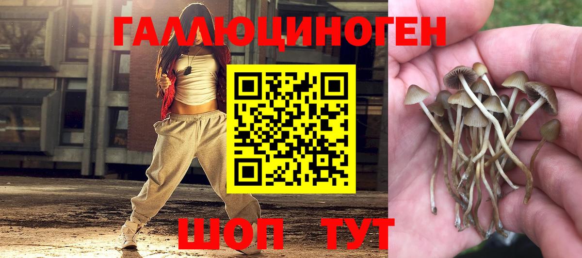 Галлюциногенные грибы Magic Shrooms Апатиты